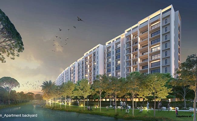 Avinash group project-avinash chitwan-gallery image-7