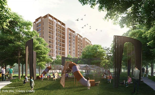 Avinash group project-avinash chitwan-gallery image-5