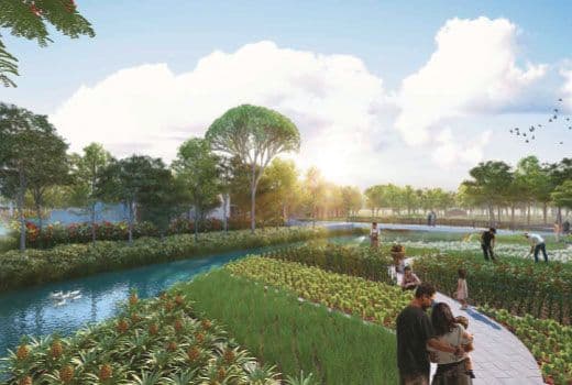 Avinash group project-avinash chitwan-amrit vihar