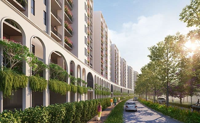 Avinash group project-avinash chitwan-gallery image-3 