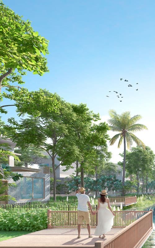 The lagoon Mobile Banner Image