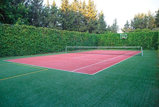 Avinash group project-half basketball court