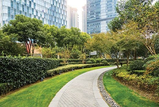 Avinash group project-Landscape garden 